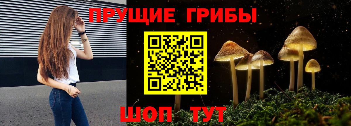 Новоалтайск  Галлюциногенные грибы Magic Shrooms  Вход с VPN 
